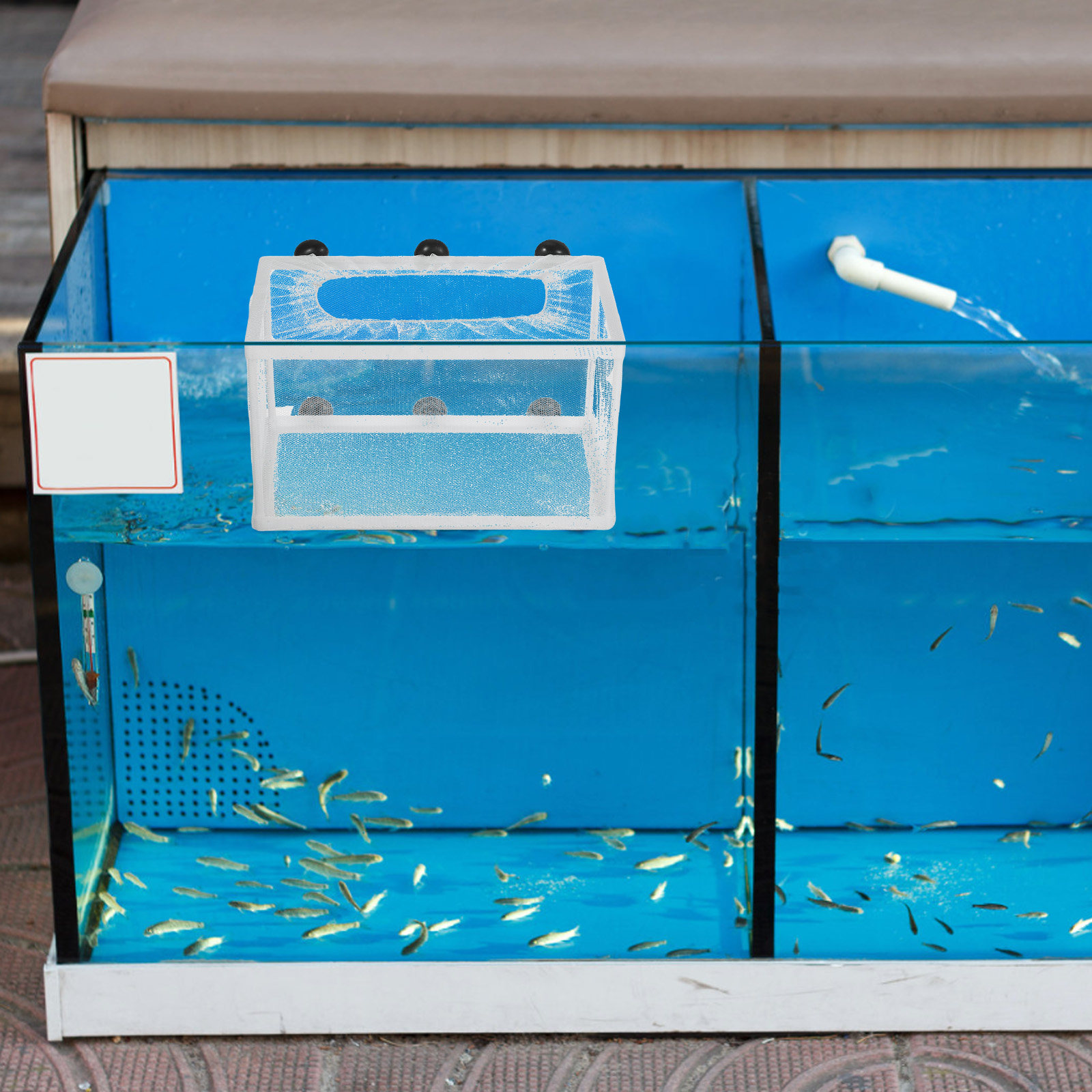 Aquarium Fish Big Size - 수족관 어망 부화 상자 대형 어종
