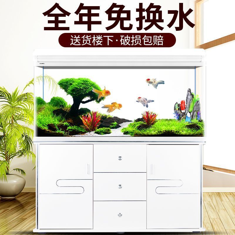 Aquarium Xilong - 실롱 어항 수족관 소형 및 중형
