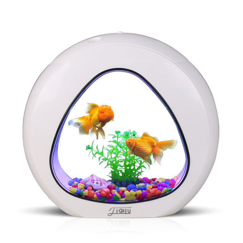 Aquarium Fish Delivery - 지아루 창의적인 데스크탑 어항 소형 장식용