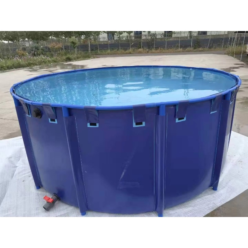 Aquarium Fish Big Size - 도매 맞춤형 야외 대형 인기 PVC