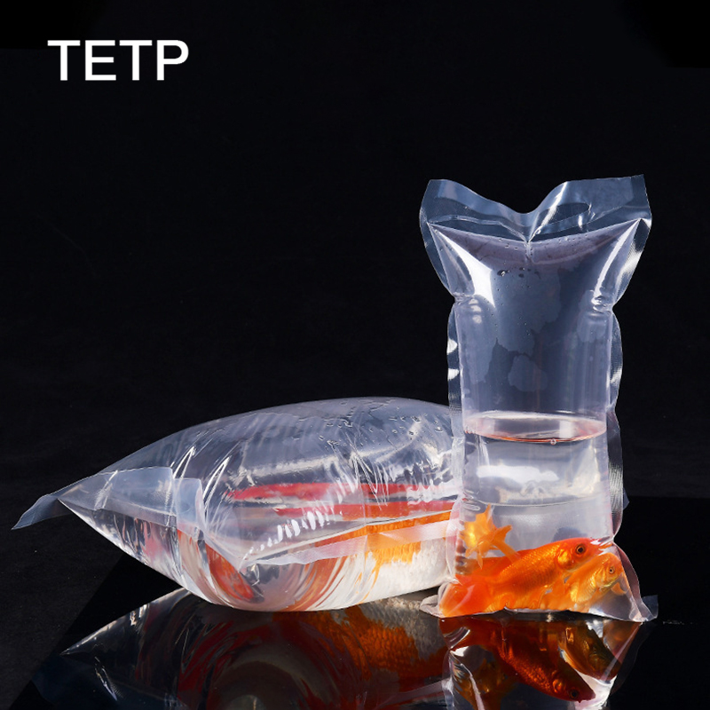 Aquarium Fish Delivery - TETP 투명 관상용 물고기 새우 수족관