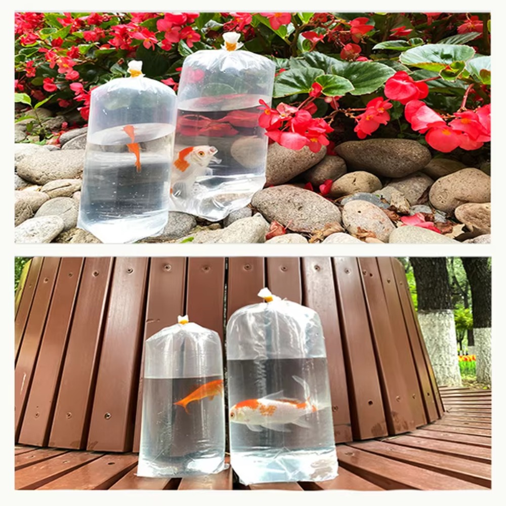 50개입 수족관 호흡 백 생물 운반 가방 장수명 풍선형 - Aquarium Fish Delivery 리뷰 및 가격