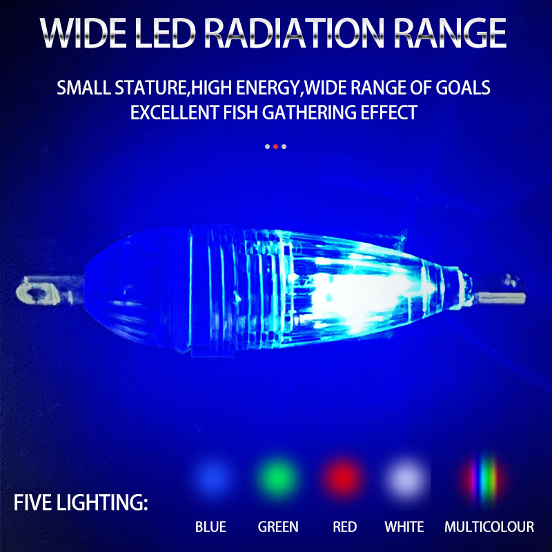 ShareShark 5개/봉투 6cm LED 점멸 어류 - Aquarium Fish Diseases 리뷰 및 가격