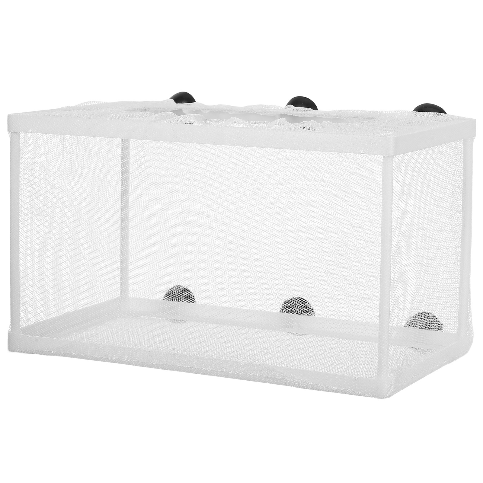 대형 폴리에스터 메쉬 어항 부화장 분리 상자 흡착컵 - - Aquarium Fish Big Size 리뷰 및 가격