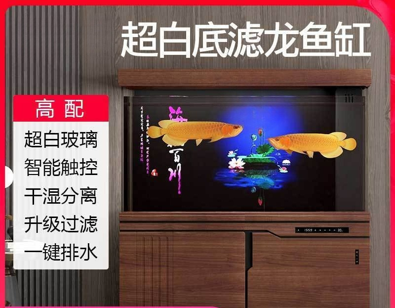 실롱 어항 대형 및 중형 바닥 여과기 거실 하부 여과기 - Aquarium Xilong 리뷰 및 가격