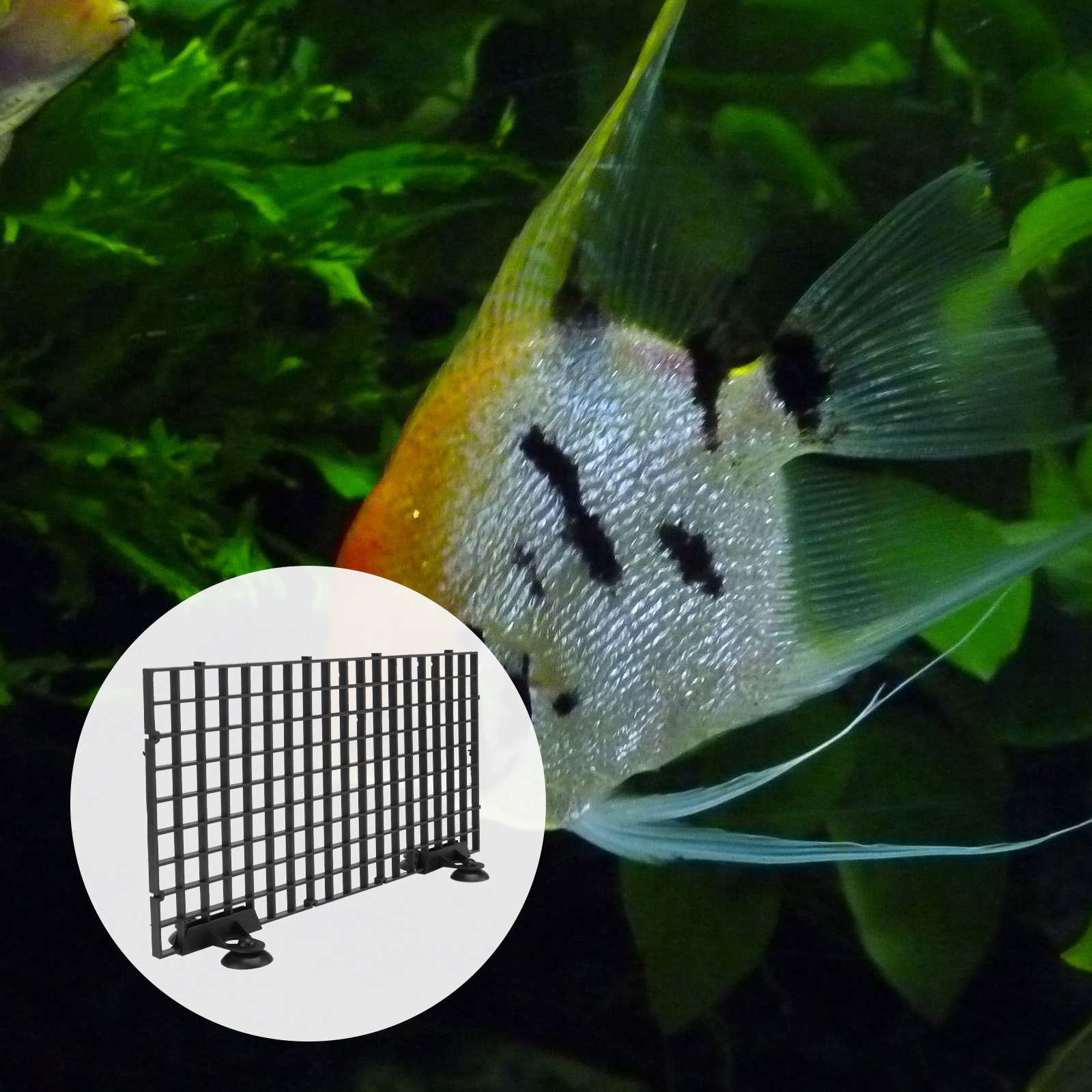 어류 번식용 그물망 대형 검정 플라스틱 필터 그리드 보 - Aquarium Fish Big Size 리뷰 및 가격