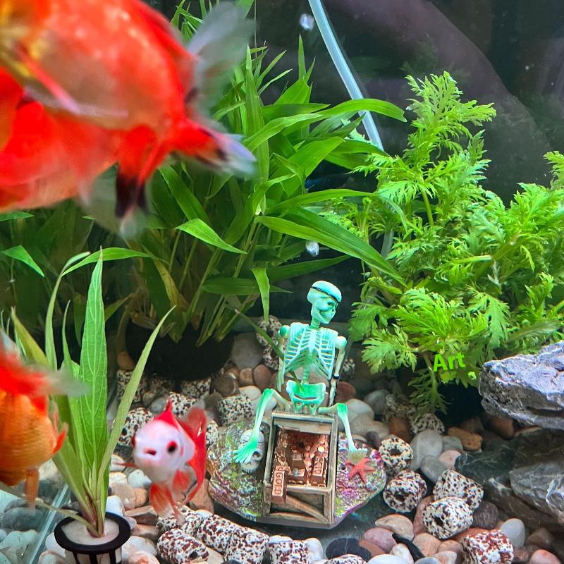 어항 에어로빅 랜드스케이프 버블 에어 펌프 재미있는 어 - Aquarium Fish Diseases 리뷰 및 가격