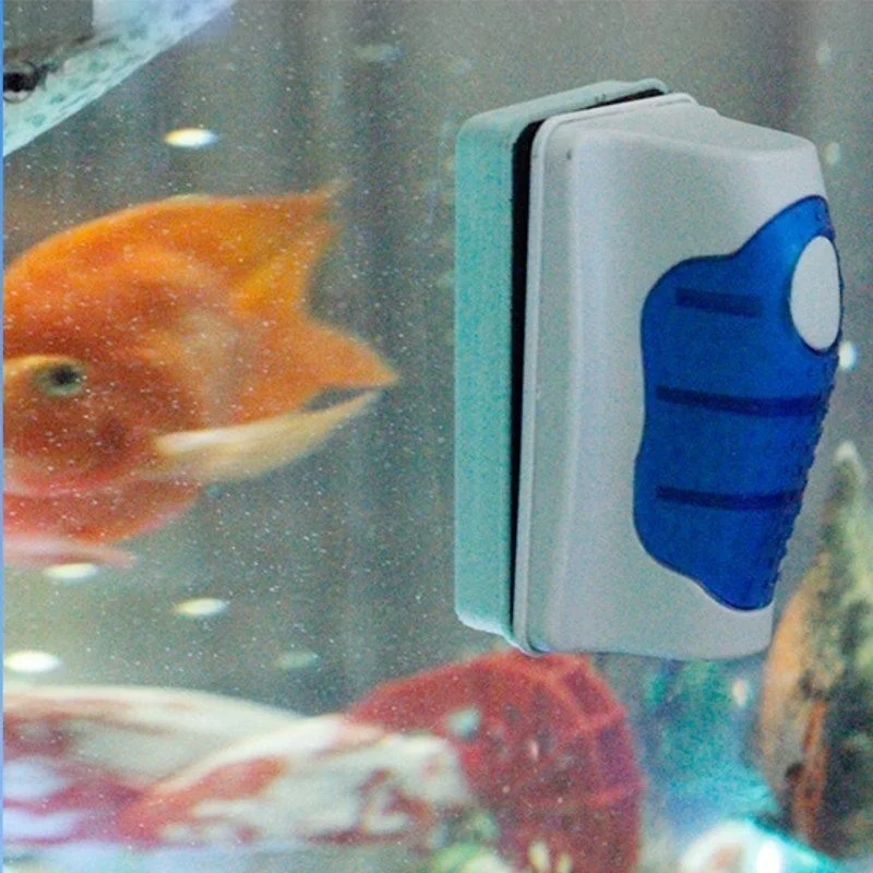 물고기 탱크 유리 스크레이퍼 클리너 플로팅 수족관 클리 - Aquarium Fish Diseases 리뷰 및 가격
