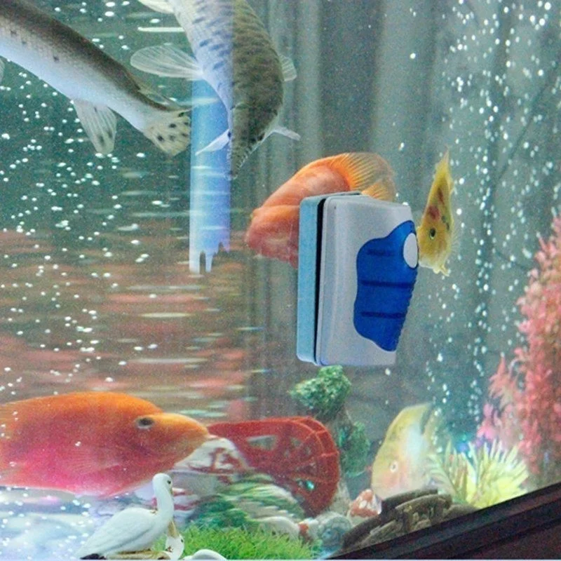 물고기 탱크 유리 스크레이퍼 클리너 플로팅 수족관 클리 - Aquarium Fish Diseases 리뷰 및 가격