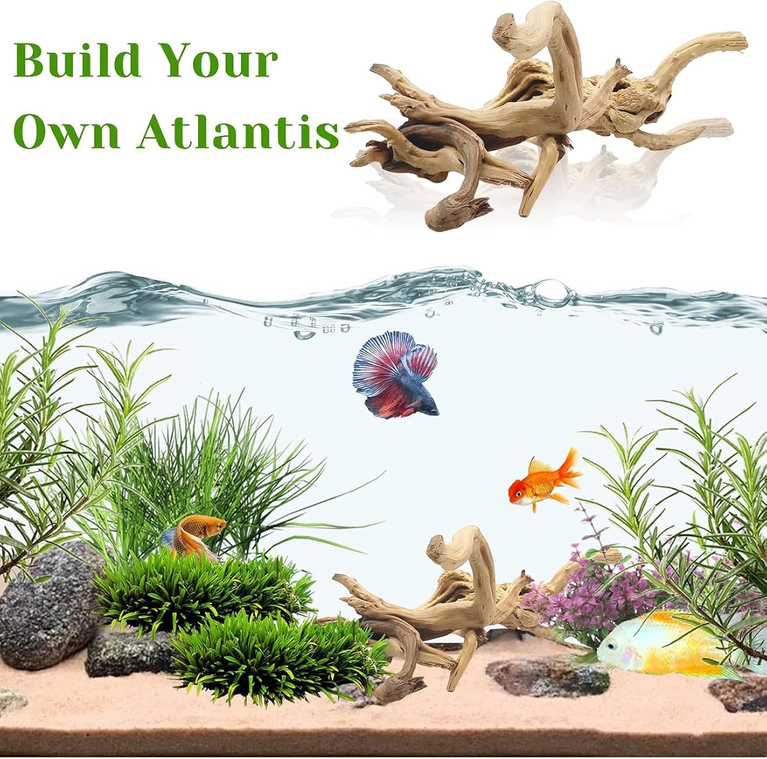 1PC 20-25CM 자연산 유목 스파이더 우드 수족관 - Aquarium Fish Diseases 리뷰 및 가격