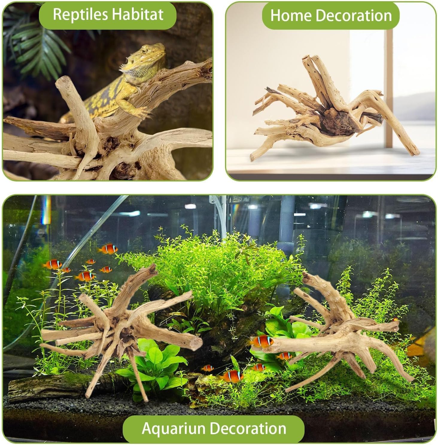 1PC 20-25CM 자연산 유목 스파이더 우드 수족관 - Aquarium Fish Diseases 리뷰 및 가격