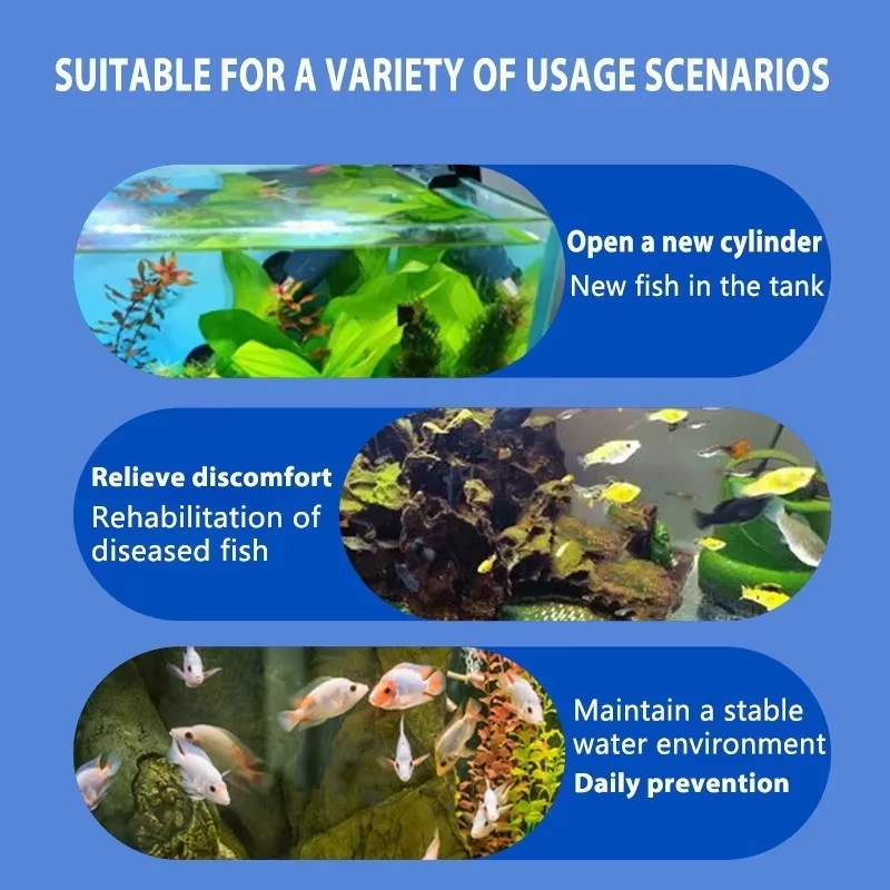 시케잔 어류 질병 치료 및 질소화 세균 |   담수/해 - Aquarium Fish Diseases 리뷰 및 가격