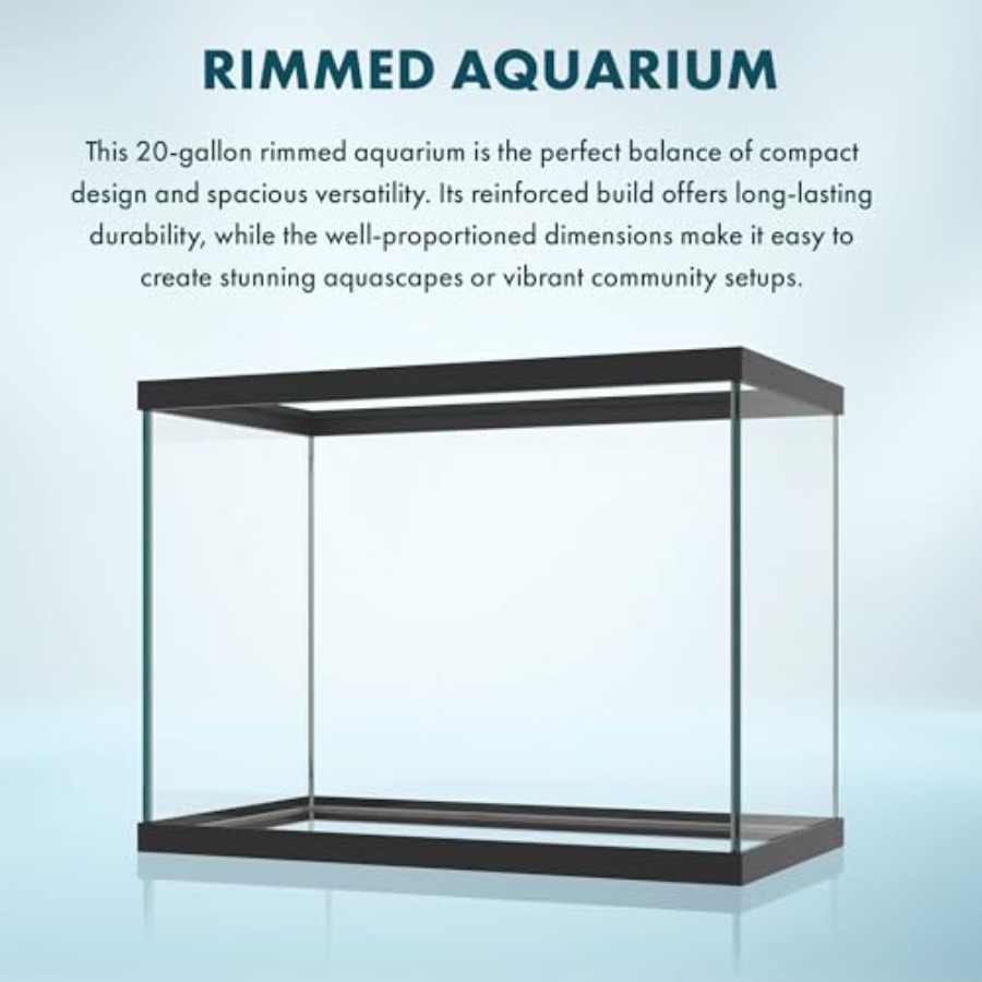 20갤런 유리 수족관 - 24 x 12.5 x 17.2 - Aquarium Xxl 리뷰 및 가격