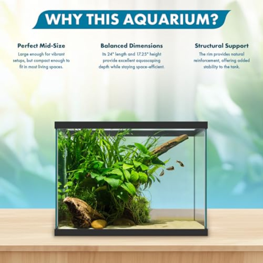 20갤런 유리 수족관 - 24 x 12.5 x 17.2 - Aquarium Xxl 리뷰 및 가격