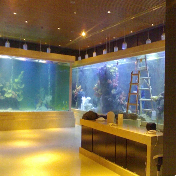 아크릴 대형 어항 직사각형 플라스틱 그랜드뷰 아크릴 공 - Aquarium Fish Big Size 리뷰 및 가격