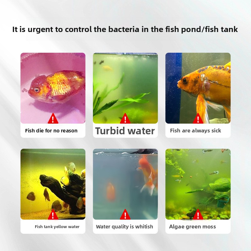 HUACHU 담수어용 수족관 소금 - 질병 예방 및 스 - Aquarium Fish Diseases 리뷰 및 가격