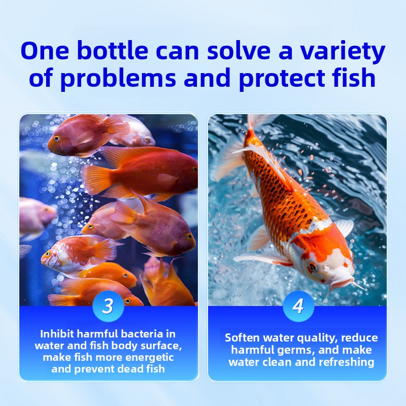 HUACHU 담수어용 수족관 소금 - 질병 예방 및 스 - Aquarium Fish Diseases 리뷰 및 가격