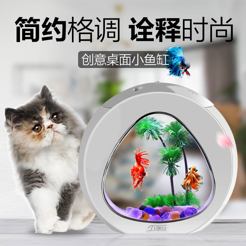 지아루 창의적인 데스크탑 어항 소형 장식용 금붕어 어항 - Aquarium Fish Delivery 리뷰 및 가격