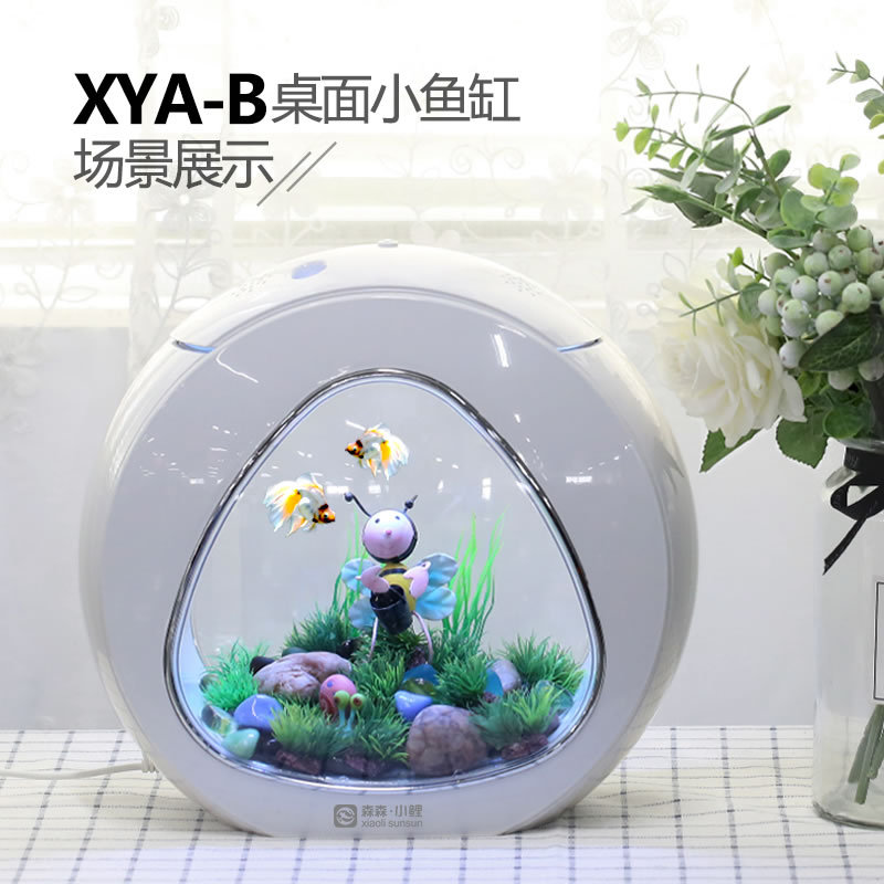 지아루 창의적인 데스크탑 어항 소형 장식용 금붕어 어항 - Aquarium Fish Delivery 리뷰 및 가격