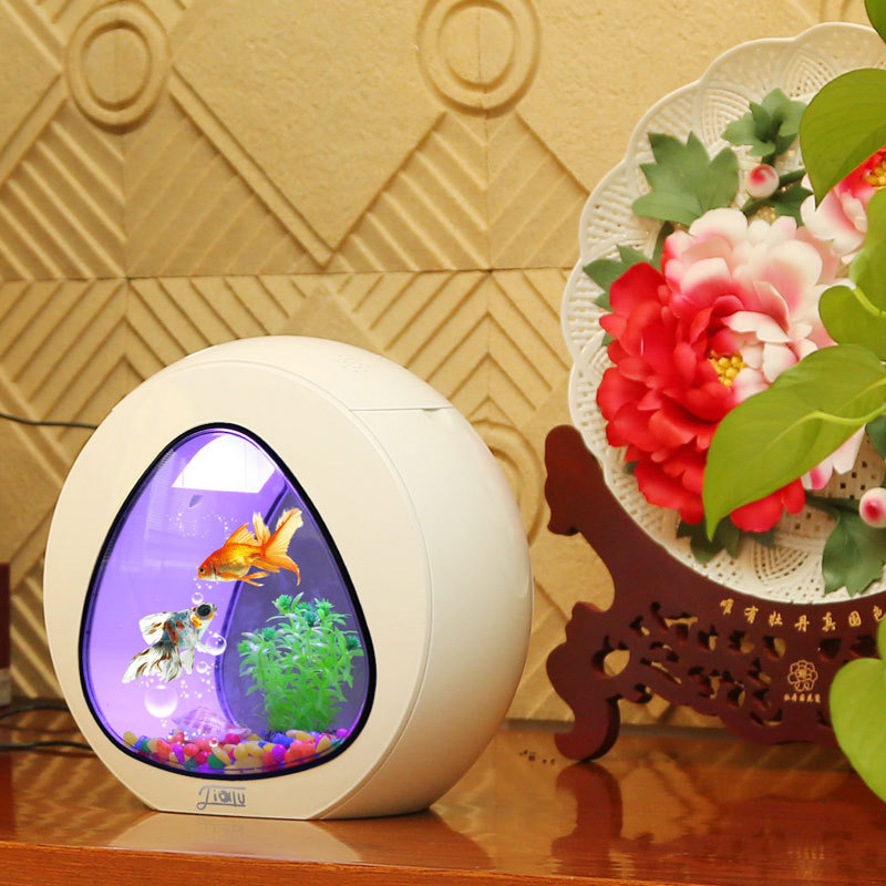 지아루 창의적인 데스크탑 어항 소형 장식용 금붕어 어항 - Aquarium Fish Delivery 리뷰 및 가격