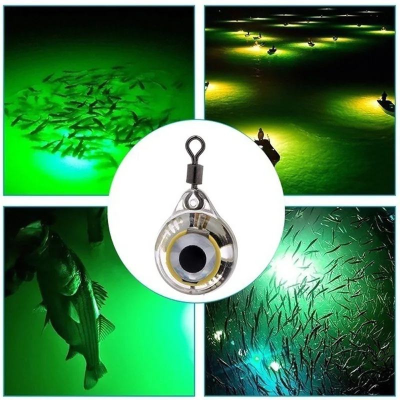 야간 낚시 LED 수중 라이트 루어 형광등 어류 유인  - Aquarium Fish Diseases 리뷰 및 가격