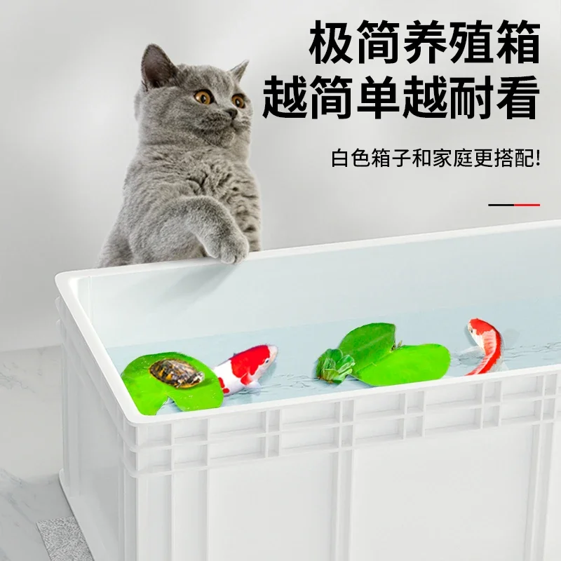 거북이 수조 대형 거북이 전문 연못 바닥 필터 어류 공 - Fish Co Aquarium 리뷰 및 가격