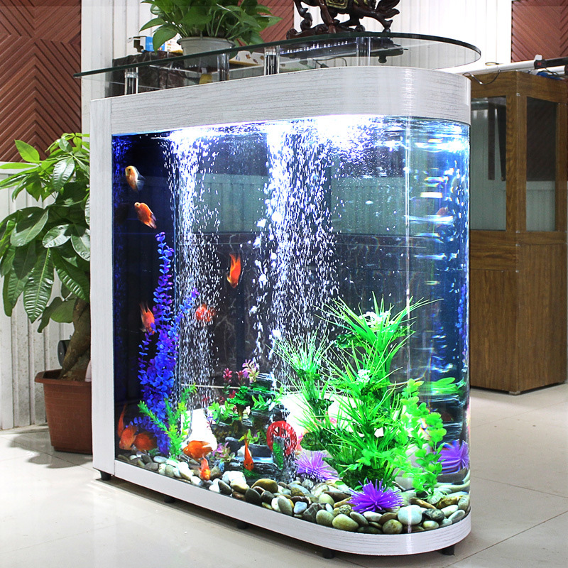 대형 스크린 모던 럭셔리 친환경 거실 파티션 골드피쉬  - Aquarium Xxl 리뷰 및 가격