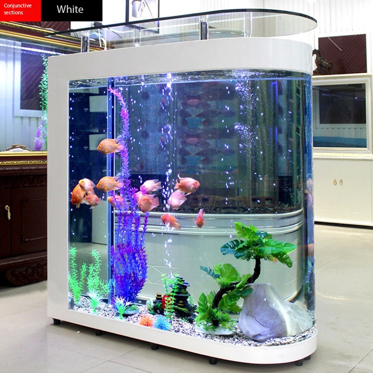 대형 스크린 모던 럭셔리 친환경 거실 파티션 골드피쉬  - Aquarium Xxl 리뷰 및 가격