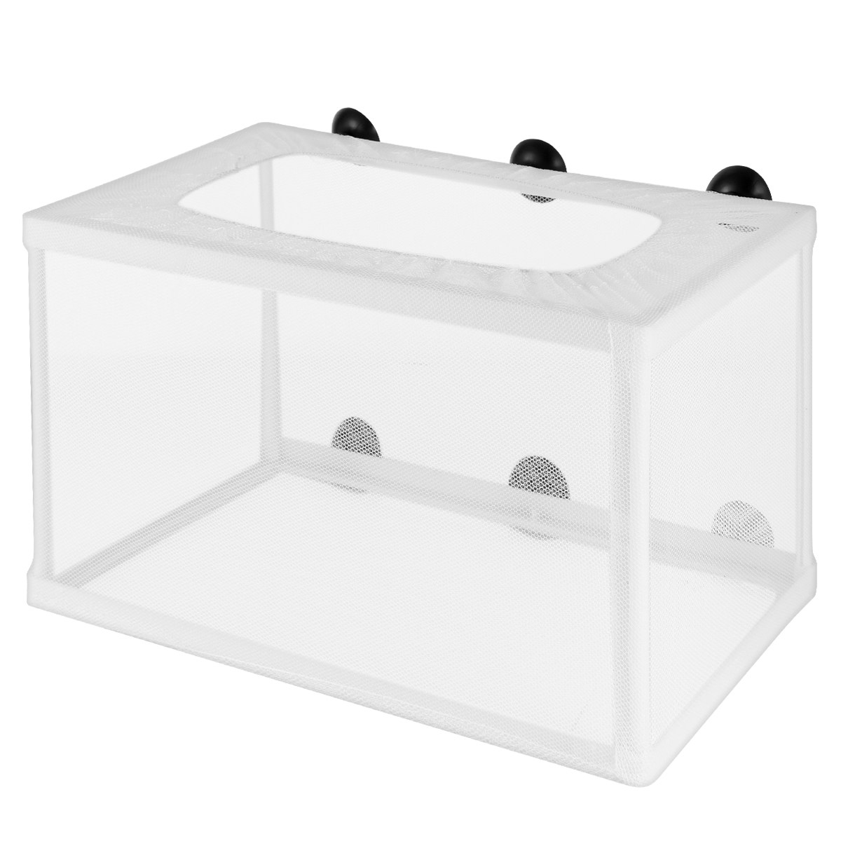 대형 폴리에스터 프레임 어류 인큐베이터 수족관 흡착컵  - Aquarium Fish Big Size 리뷰 및 가격