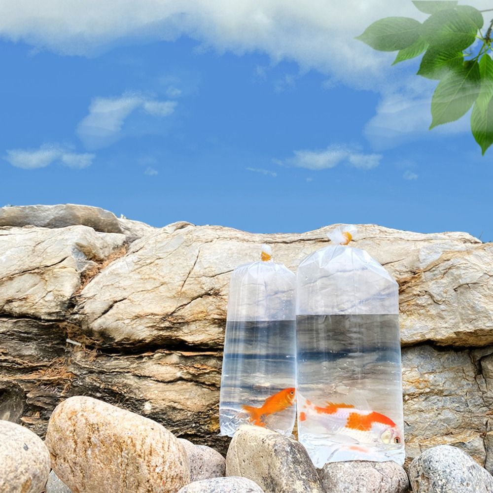10PCS 플라스틱 수족관 호흡 가방 투명 휴대용 물고 - Aquarium Fish Delivery 리뷰 및 가격