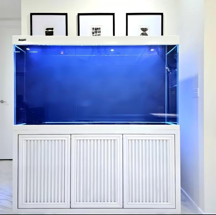 대형 수족관 어항, 초투명 유리 상업용 코이 아로와나  - Aquarium Fish Big Size 리뷰 및 가격