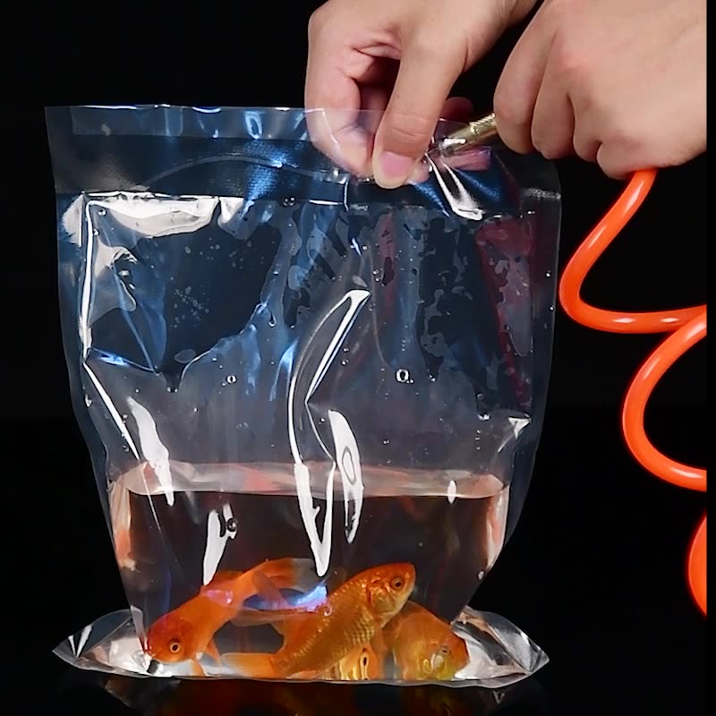 TETP 투명 관상용 물고기 새우 수족관 포장 가방,  - Aquarium Fish Delivery 리뷰 및 가격