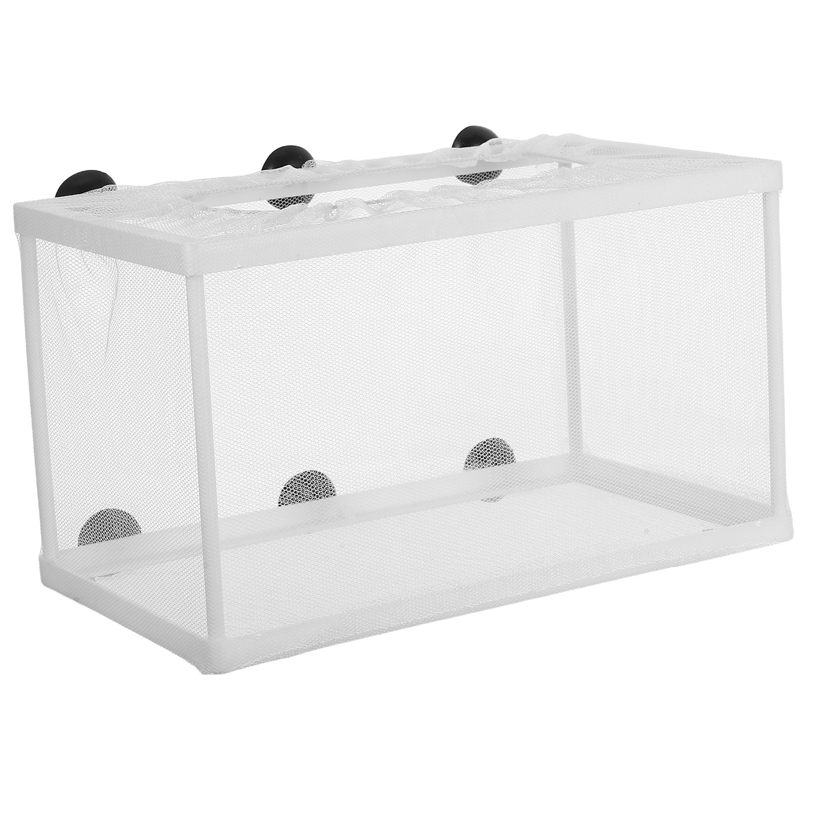 대형 어망 수족관 부화장 인큐베이터 흡착컵 폴리에스터  - Aquarium Fish Big Size 리뷰 및 가격